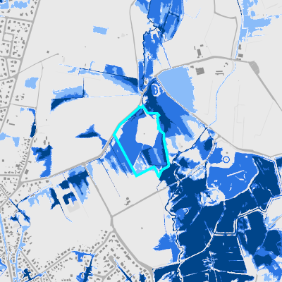 Overstromingsgevoelig (pluviaal)