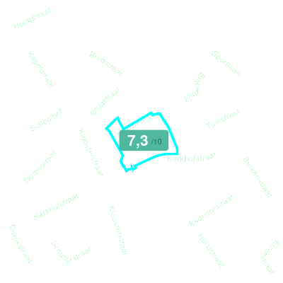 Mobiscore