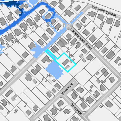 Overstromingsgevoelig (pluviaal)