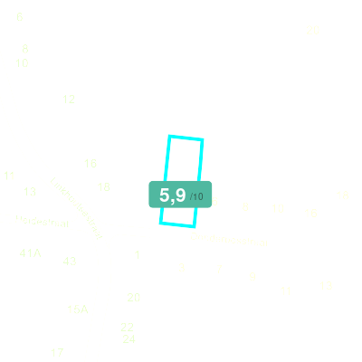 Mobiscore