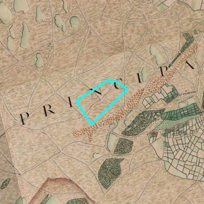 Ferraris (1771-1778)