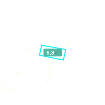 Mobiscore