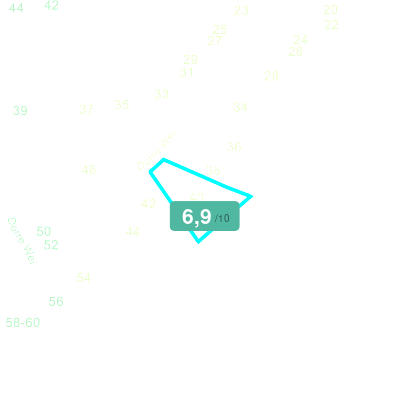 Mobiscore