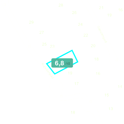 Mobiscore