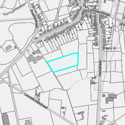 Ruimtelijke uitvoeringsplannen (RUP)
