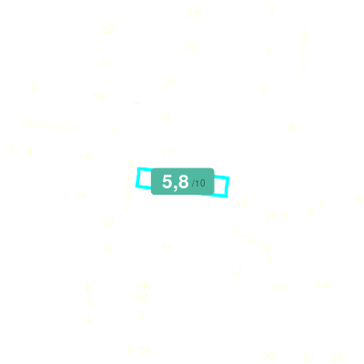 Mobiscore