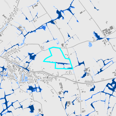 Overstromingsgevoelig (pluviaal)