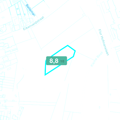 Mobiscore