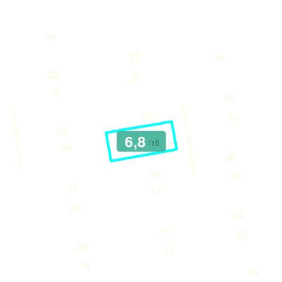 Mobiscore