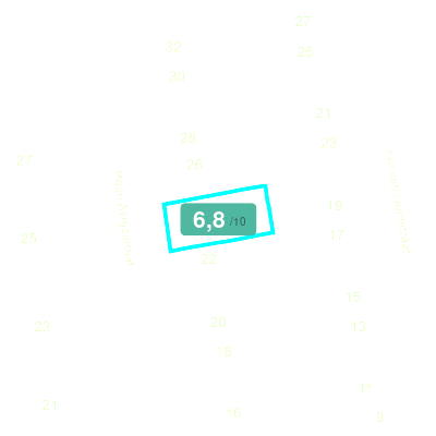 Mobiscore