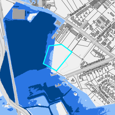Overstromingsgevoelig (fluviaal)