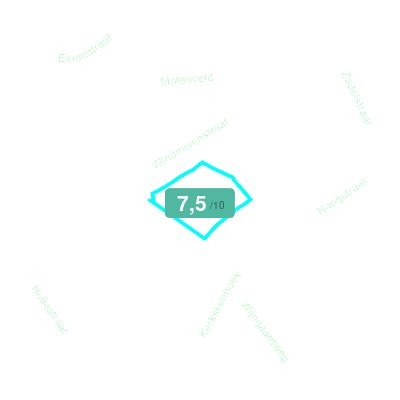 Mobiscore