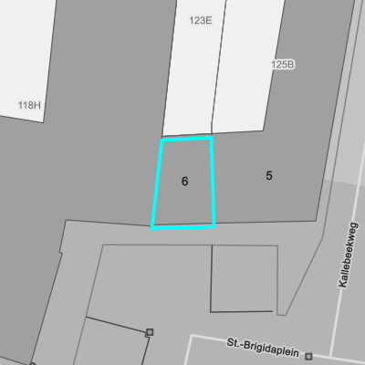 Overstromingsgevoelig (fluviaal)