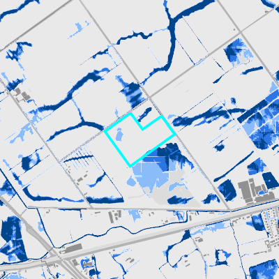 Overstromingsgevoelig (pluviaal)