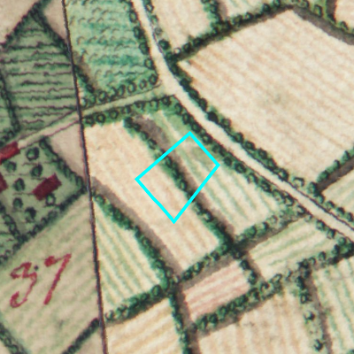 Ferraris (1771-1778)