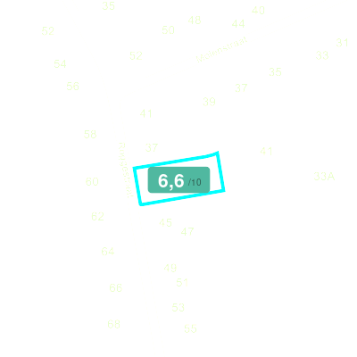 Mobiscore