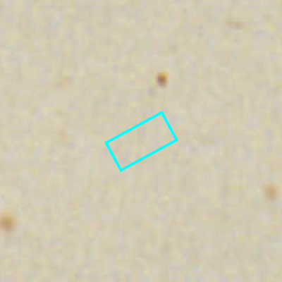 Algemeen Bodemgebruik (ABW)