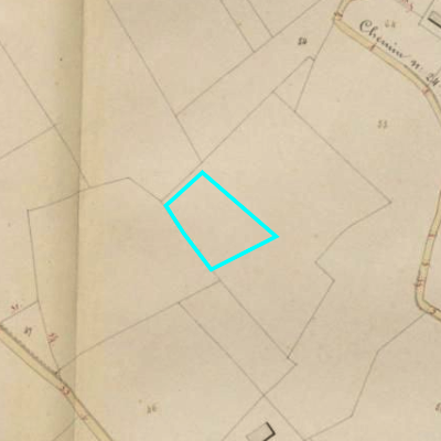 Algemeen Bodemgebruik (ABW)