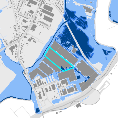 Overstromingsgevoelig (fluviaal)