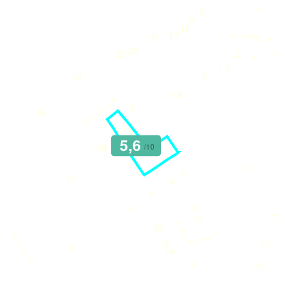 Mobiscore
