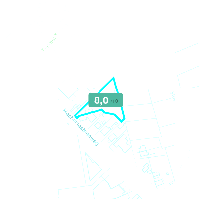 Mobiscore
