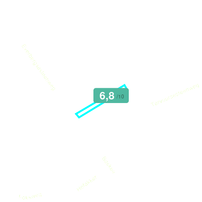 Mobiscore