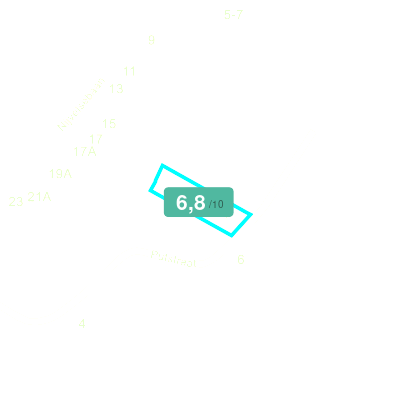 Mobiscore