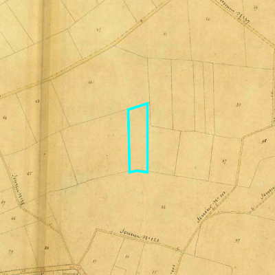 Algemeen Bodemgebruik (ABW)