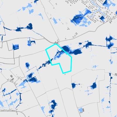 Overstromingsgevoelig (pluviaal)