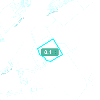 Mobiscore