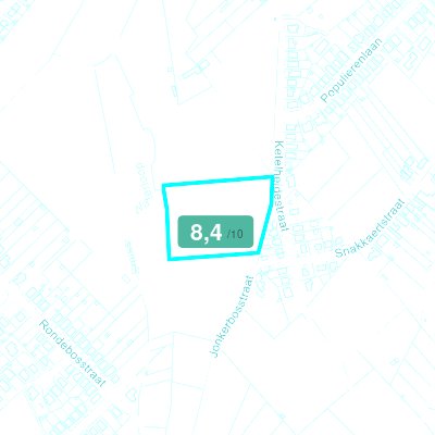 Mobiscore