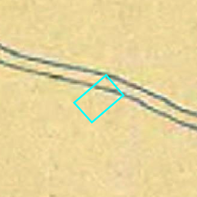 Algemeen Bodemgebruik (ABW)