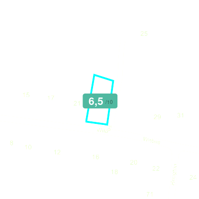 Mobiscore