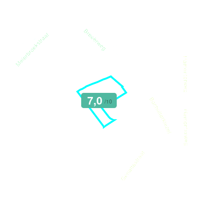 Mobiscore