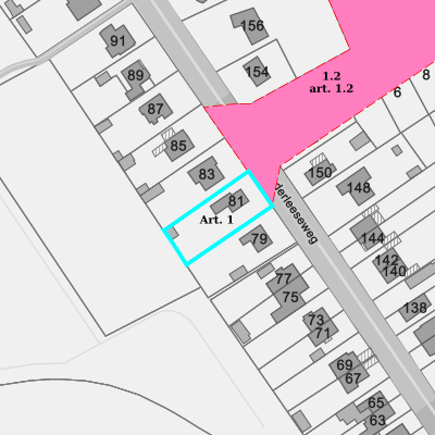 Ruimtelijke uitvoeringsplannen (RUP)