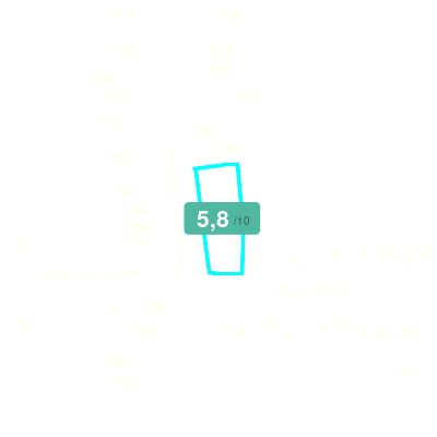 Mobiscore