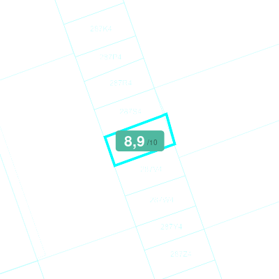 Mobiscore