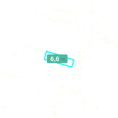 Mobiscore
