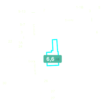 Mobiscore