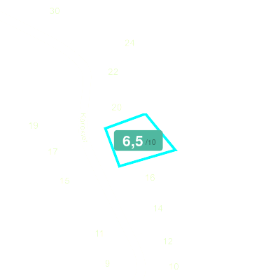 Mobiscore