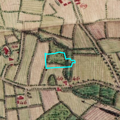 Ferraris (1771-1778)