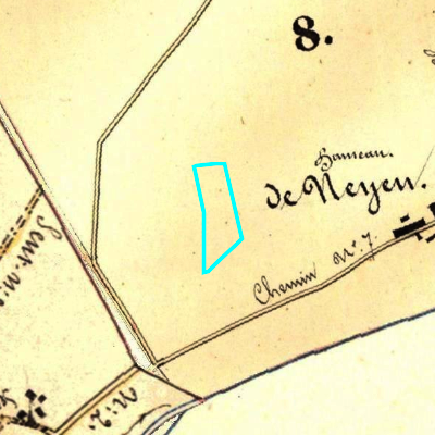Algemeen Bodemgebruik (ABW)