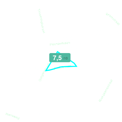 Mobiscore