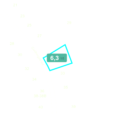 Mobiscore