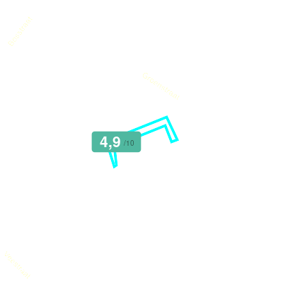 Mobiscore